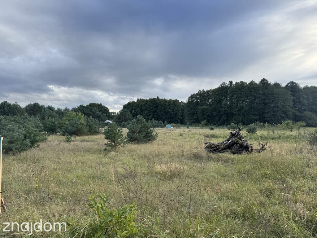 Dwie działki pod zabudowę letniskowo-usługową pod lasem – Silna - zdjęcie 9