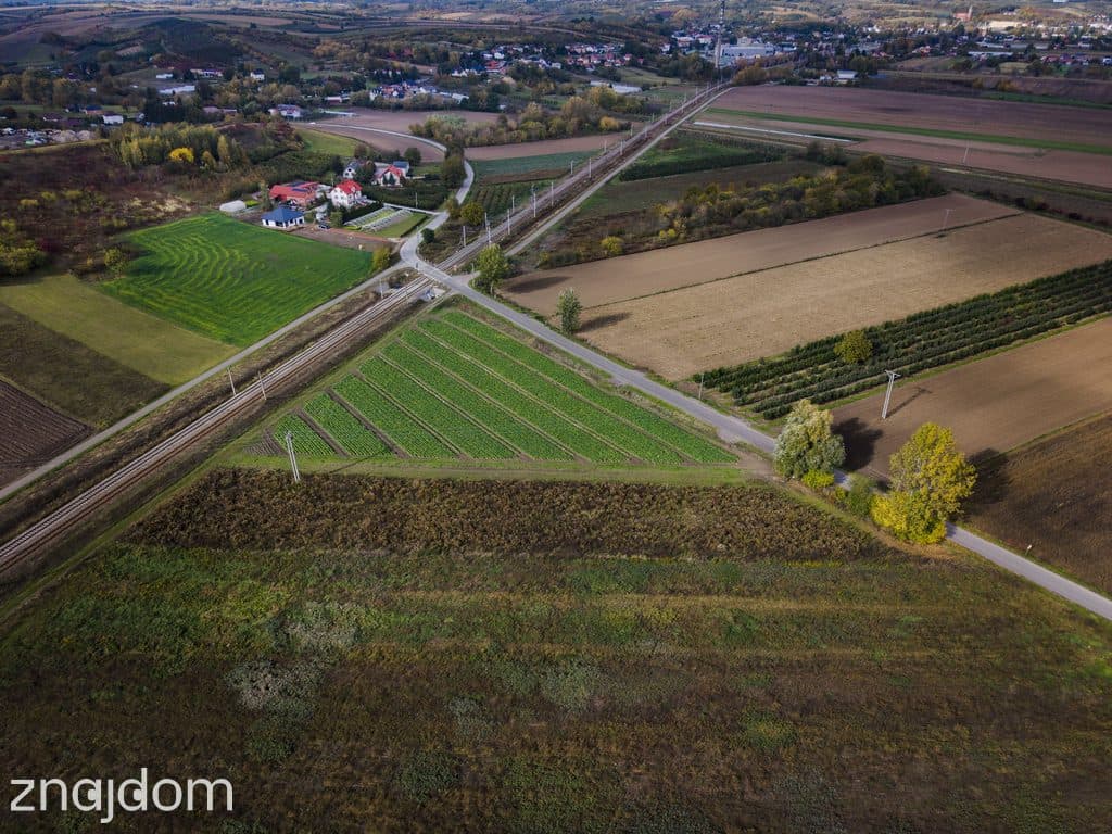 Rolniku! Działka z warunkami zabudowy-Mściów - zdjęcie 12