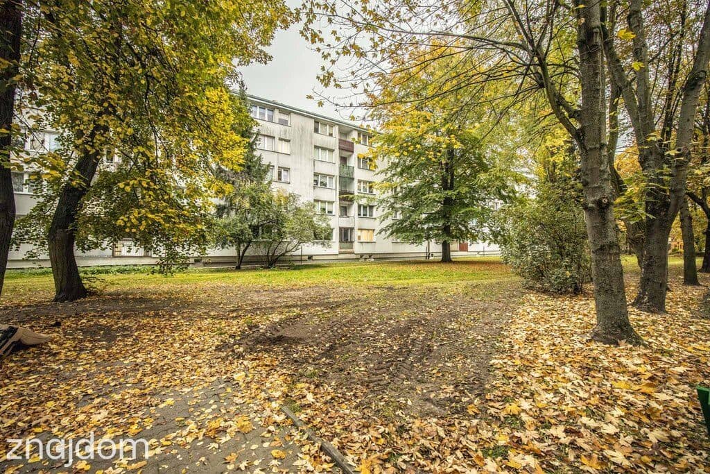 Diament do oszlifowania na łódzkiej Dąbrowie! - zdjęcie 14