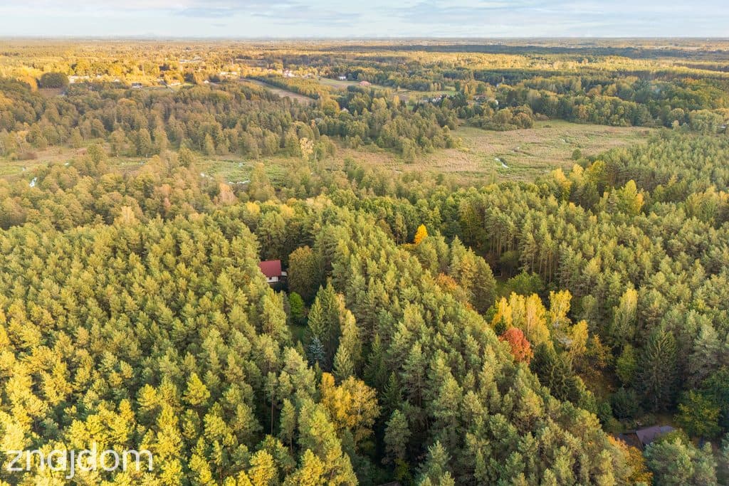 Malownicza działka otoczona lasem - zdjęcie 8