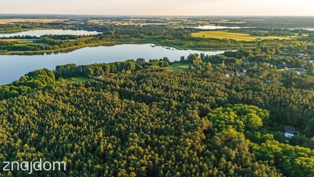 Twój kawałek lasu nad jeziorem Wieleńskim MPZP! - zdjęcie 4