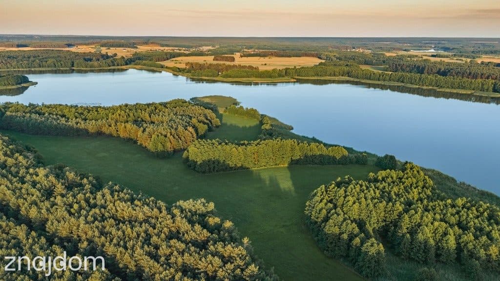 Twój kawałek lasu nad jeziorem Wieleńskim MPZP!