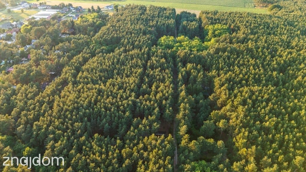 Twój kawałek lasu nad jeziorem Wieleńskim MPZP! - zdjęcie 14