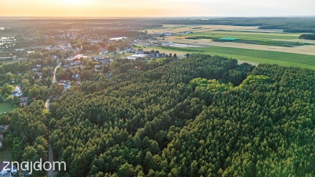 Twój kawałek lasu nad jeziorem Wieleńskim MPZP! - zdjęcie 16