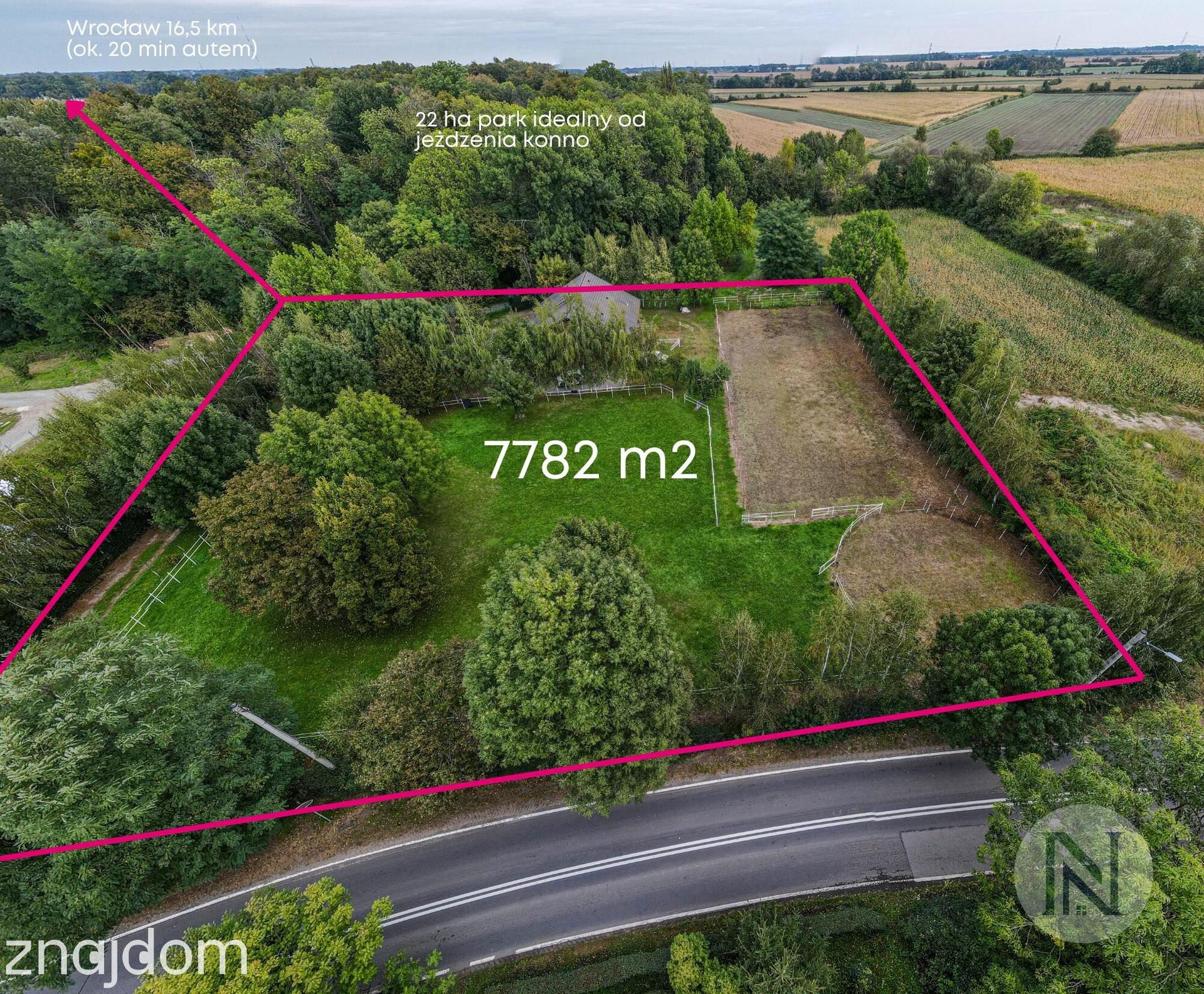 Perełka przy 22-ha Parku! Siedlisko, ranczo, agroturystyka, konie. - zdjęcie 15