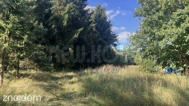 Działka Tanowo, świetna lokalizacja,duży potencjał - zdjęcie 9