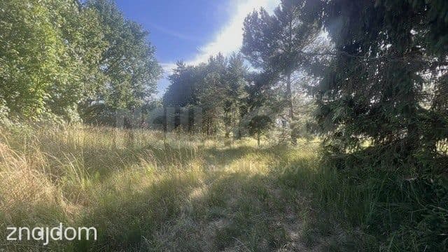 Działka Tanowo, świetna lokalizacja,duży potencjał - zdjęcie 11
