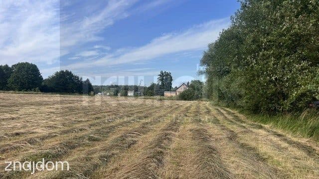 Przestronna działka budowlana w Tatyni - zdjęcie 5