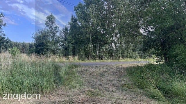 Przestronna działka budowlana w Tatyni - zdjęcie 6