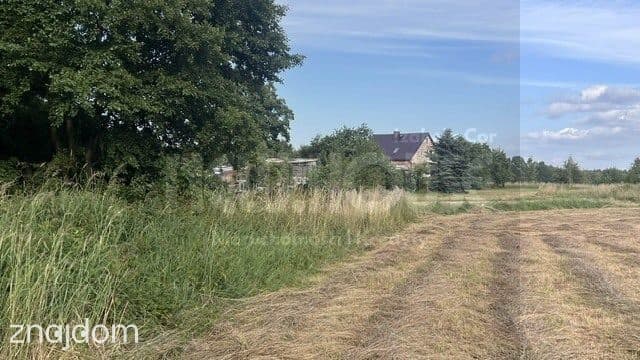 Przestronna działka budowlana w Tatyni - zdjęcie 9