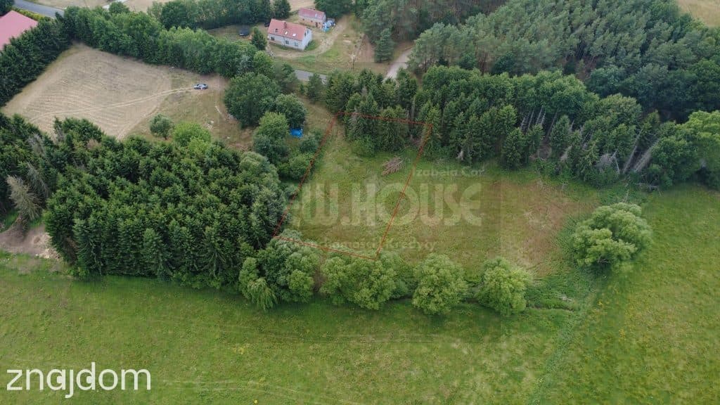 Działka Tanowo, świetna lokalizacja,duży potencjał - zdjęcie 5