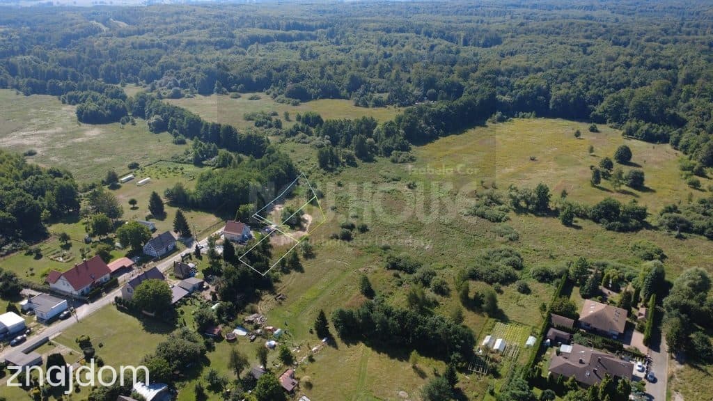 Działki na skraju Puszczy Bukowej - Jezierzyce - zdjęcie 3