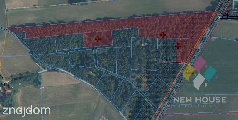 Wyjątkowa działka 2,73 ha – MPZP, siedlisko, motel - zdjęcie 6