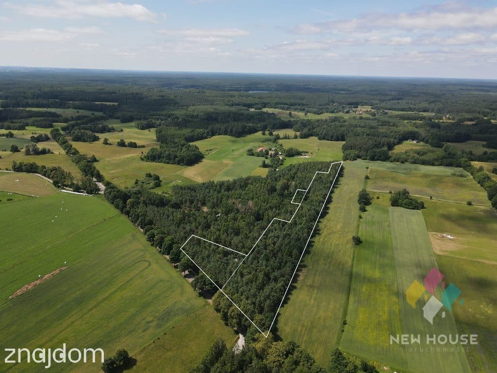 Wyjątkowa działka 2,73 ha – MPZP, siedlisko, motel - zdjęcie 2