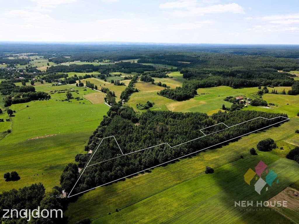 Wyjątkowa działka 2,73 ha – MPZP, siedlisko, motel - zdjęcie 4