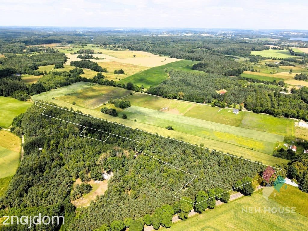Wyjątkowa działka 2,73 ha – MPZP, siedlisko, motel - zdjęcie 5
