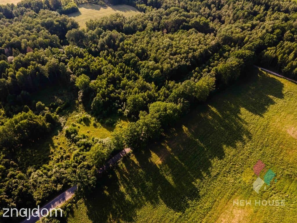 4700 m2, Kromerowo, SK16, 10 zł/m2 - zdjęcie 6