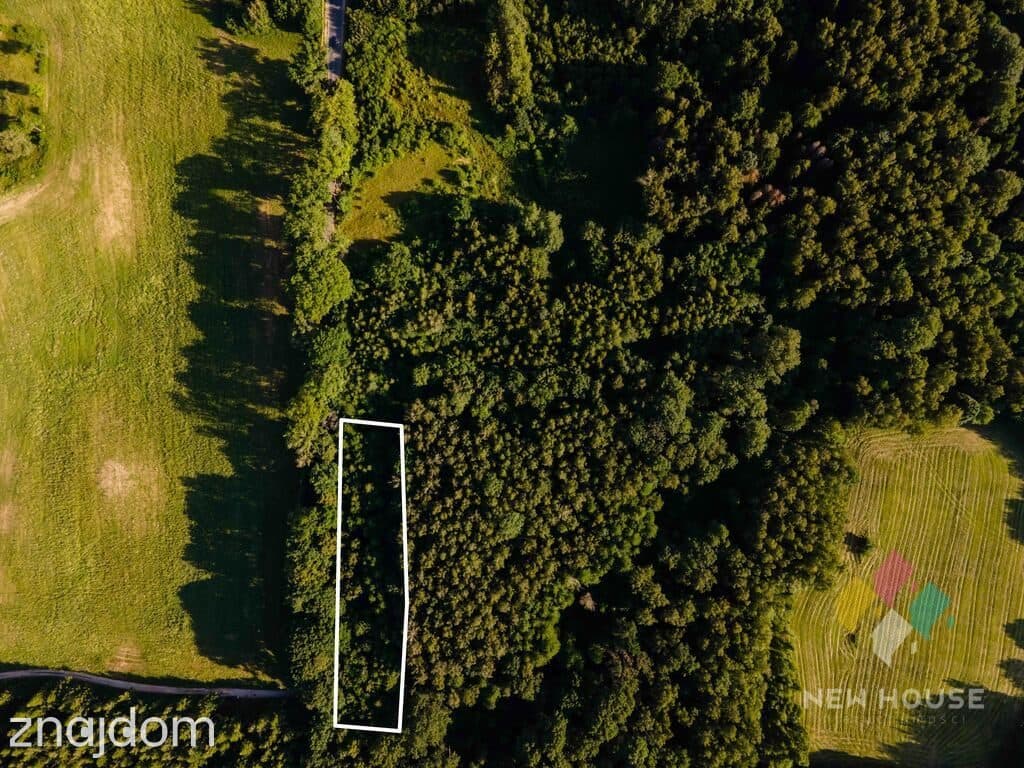 4700 m2, Kromerowo, SK16, 10 zł/m2 - zdjęcie 3