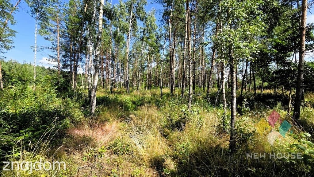 Zadrzewiona działka z WZ pod dom, jezioro, las - zdjęcie 3