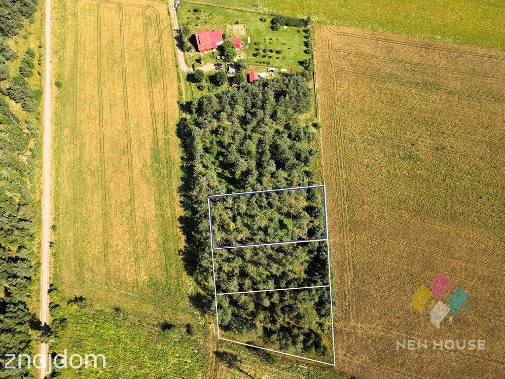 Zadrzewiona działka z WZ pod dom, jezioro, las - zdjęcie 5
