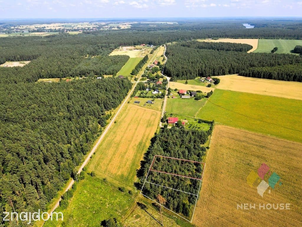 Zadrzewiona działka z WZ pod dom, jezioro, las - zdjęcie 6