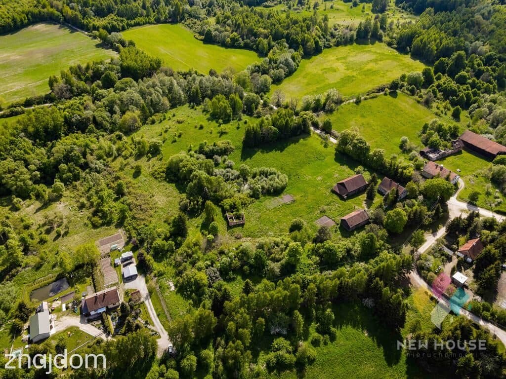Raciszewo, pakiet 5 działek 4,78 ha - zdjęcie 11