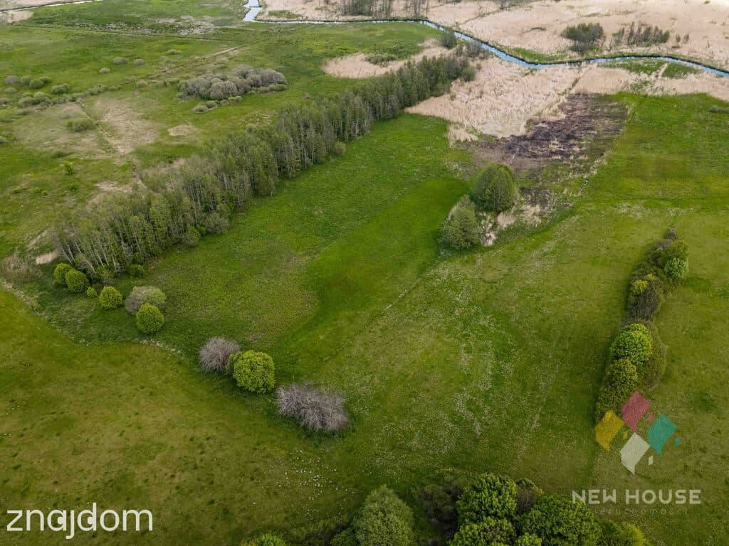 Raciszewo, pakiet 5 działek 4,78 ha - zdjęcie 16