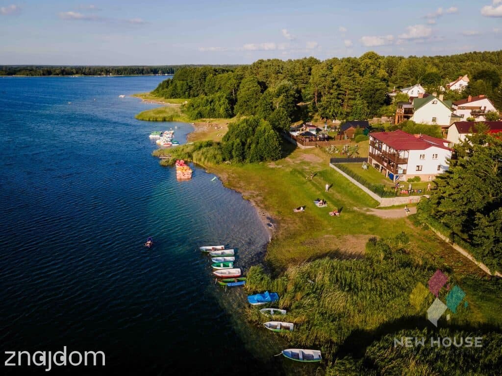 Wśród drzew, 200 m od jeziora Świętajno, widok - zdjęcie 4