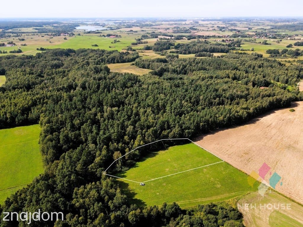 Działka pod dom przy lesie – cisza i natura