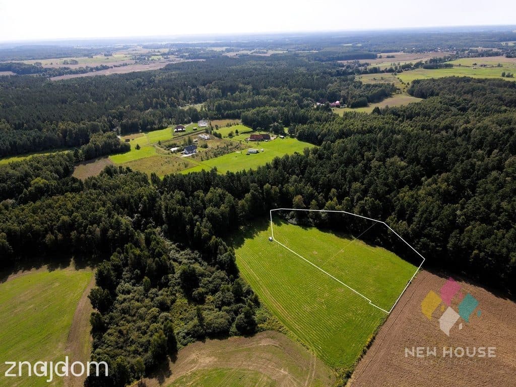 Działka pod dom przy lesie – cisza i natura - zdjęcie 3