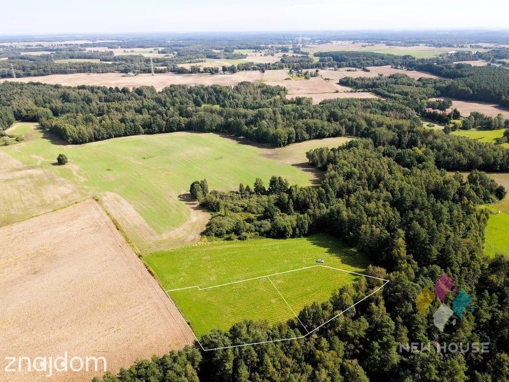 Działka pod dom przy lesie – cisza i natura - zdjęcie 4