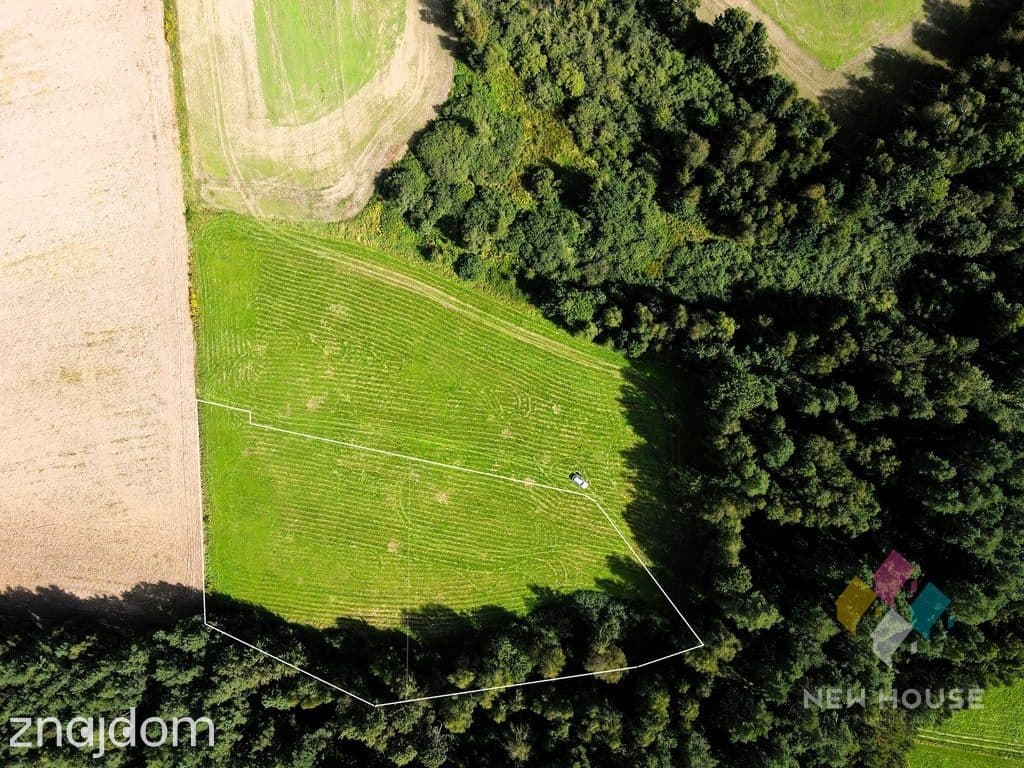 Działka pod dom przy lesie – cisza i natura - zdjęcie 6