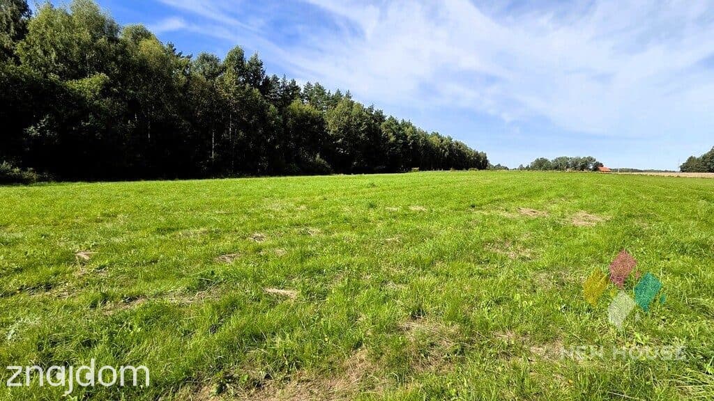 Działka pod dom przy lesie – cisza i natura - zdjęcie 2