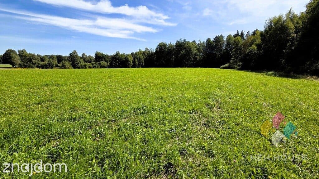 Działka pod dom przy lesie – cisza i natura - zdjęcie 5