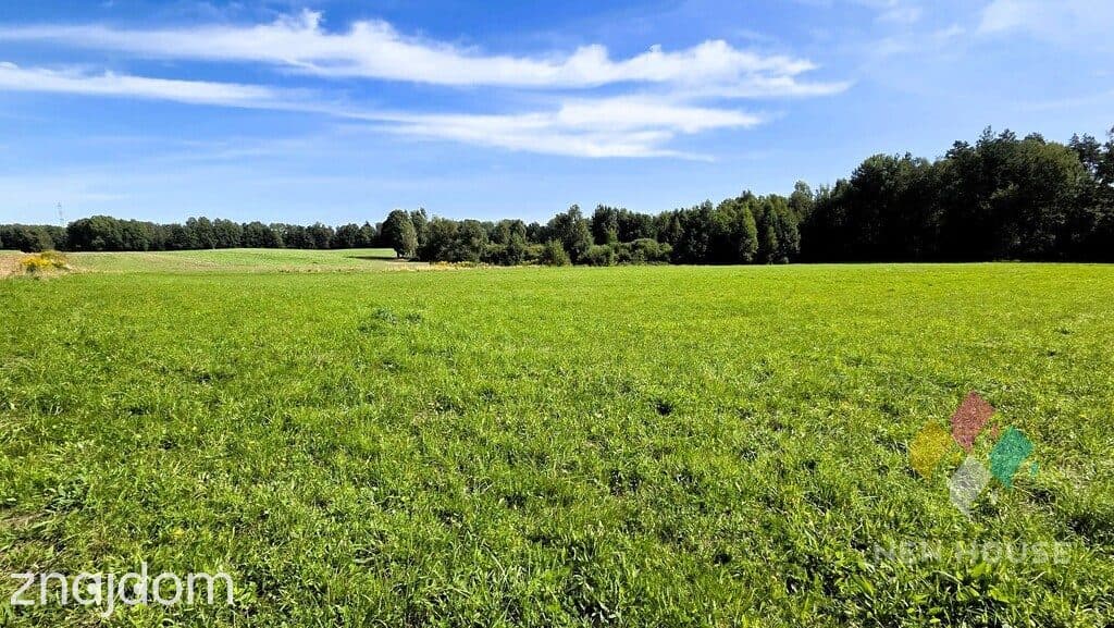 Działka pod dom przy lesie – cisza i natura - zdjęcie 7