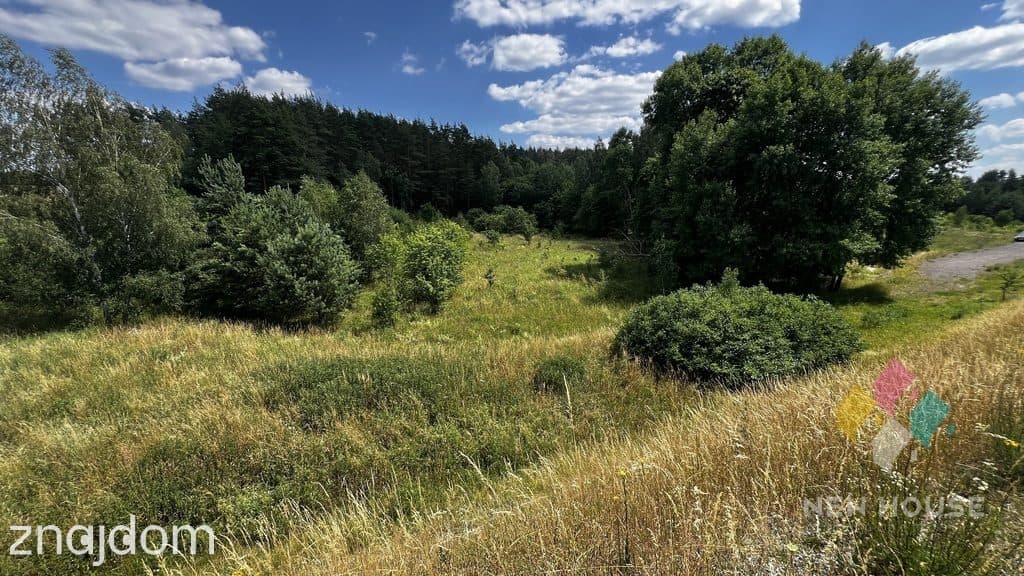 Działka pod zabudowę mieszkalną, usługową - zdjęcie 5