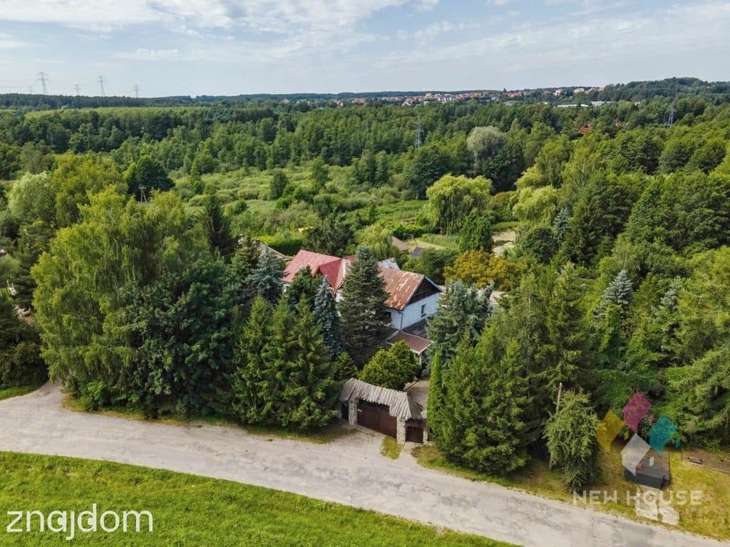 Zalbki- Dom 265 m2, garaż, piwnica, staw, duża działka - zdjęcie 8
