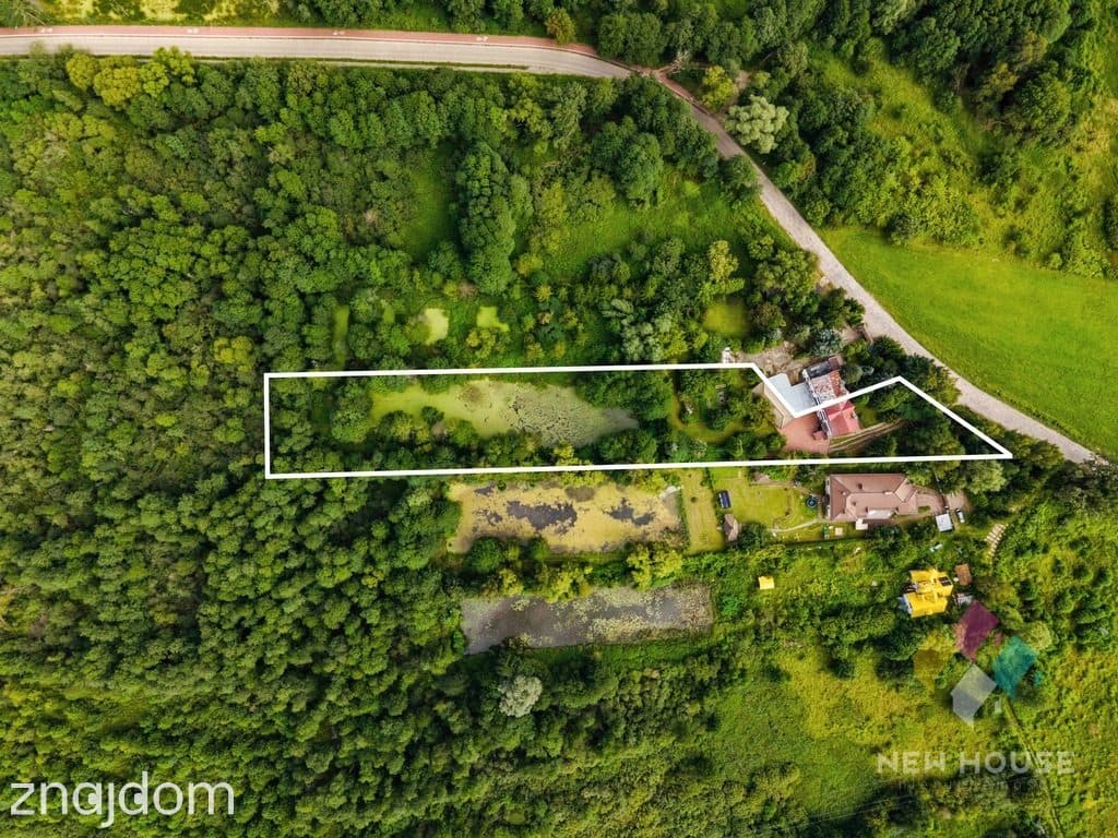 Zalbki- Dom 265 m2, garaż, piwnica, staw, duża działka - zdjęcie 3