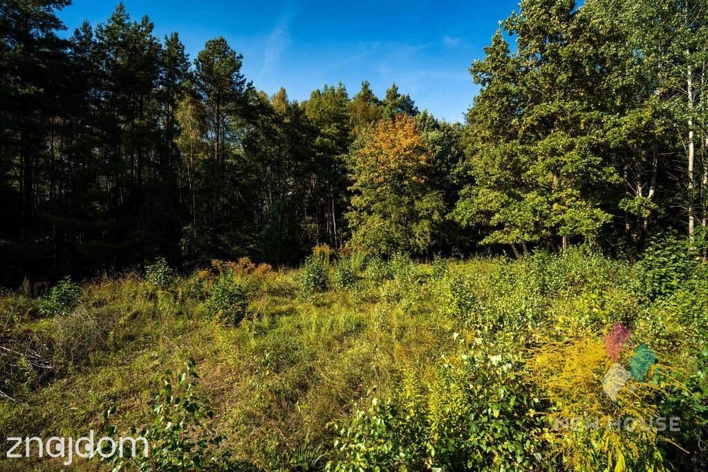 Wyjątkowe miejsce pod dom – lasy, jeziora i natura, Zapurdka - zdjęcie 2