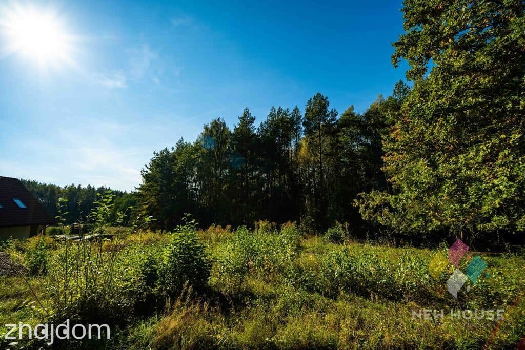 Wyjątkowe miejsce pod dom – lasy, jeziora i natura, Zapurdka - zdjęcie 4