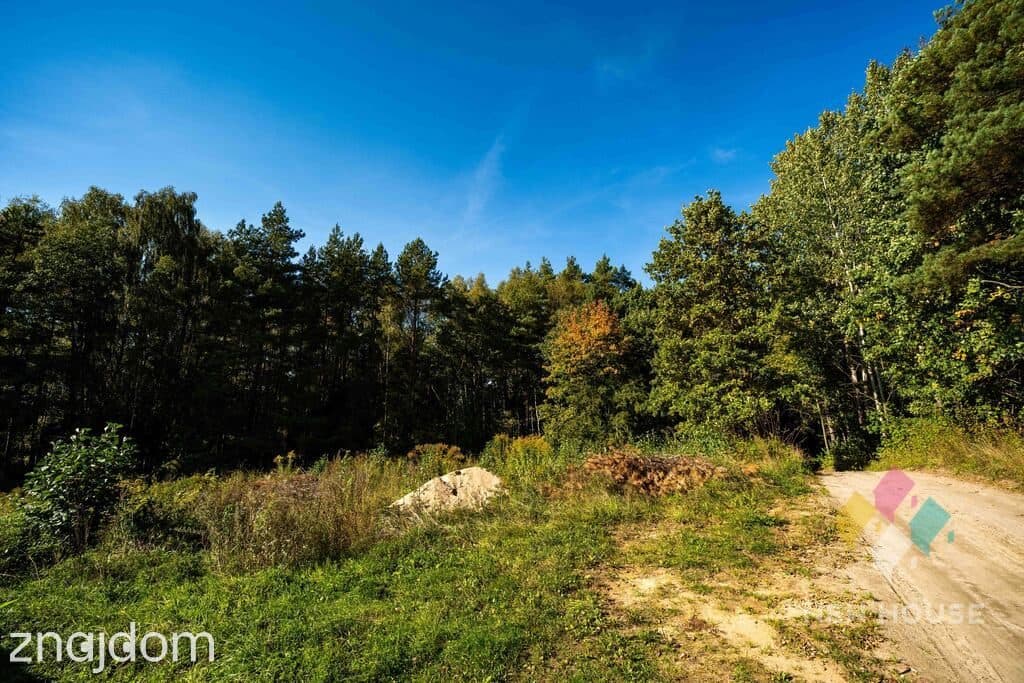 Wyjątkowe miejsce pod dom – lasy, jeziora i natura, Zapurdka - zdjęcie 9
