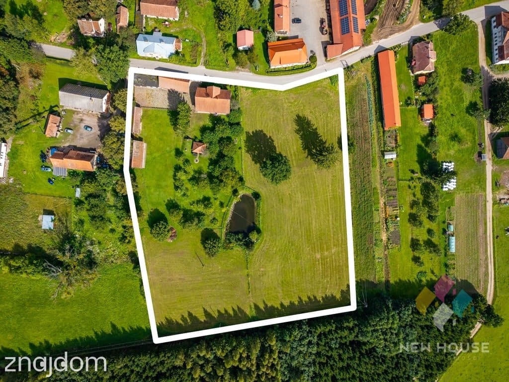 Prawdziwe mazurskie siedlisko na skraju puszczy - zdjęcie 14