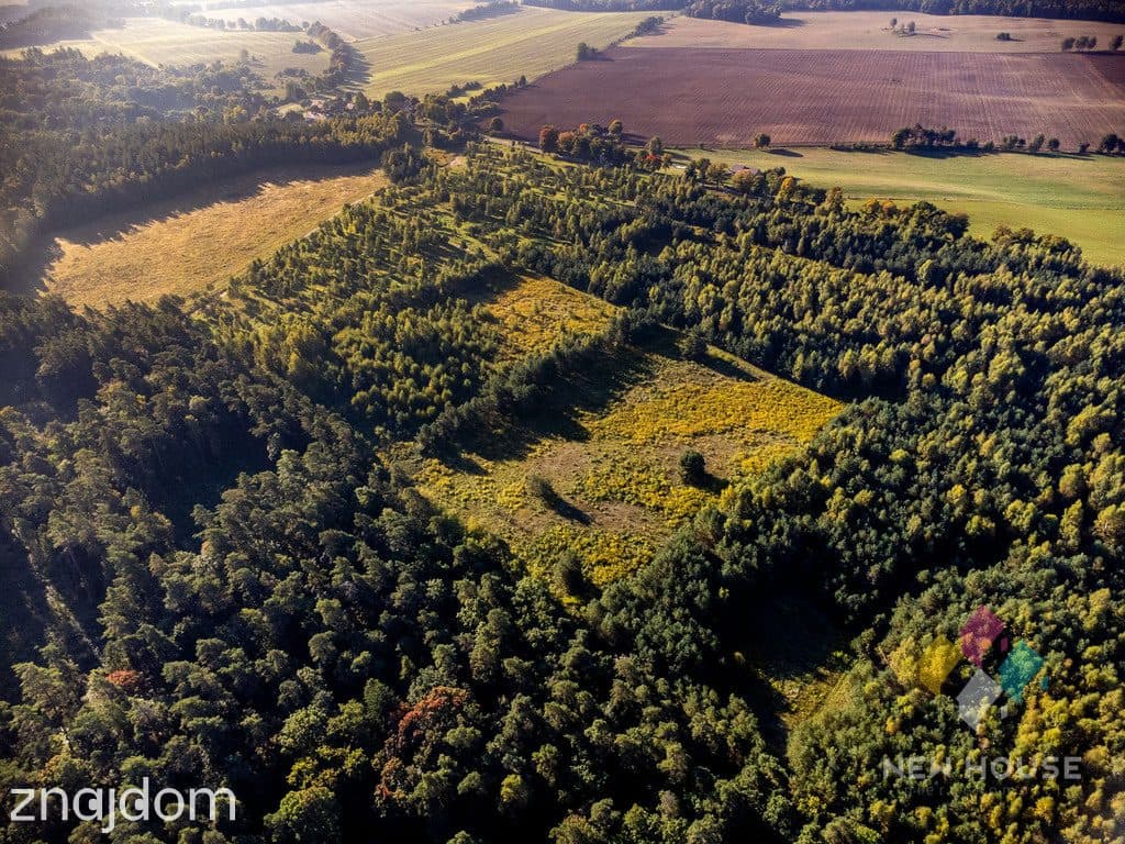 Działka na Mazurach w gminie Grunwald w otoczeniu lasów i jezior - zdjęcie 4