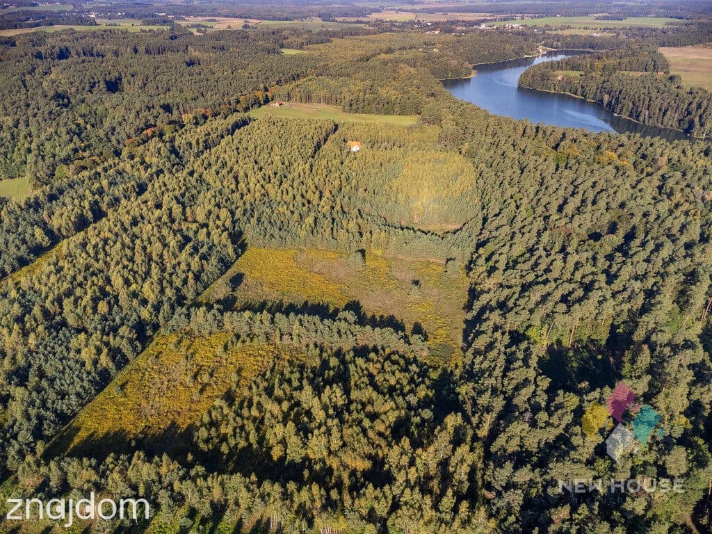Działka na Mazurach w gminie Grunwald w otoczeniu lasów i jezior - zdjęcie 5