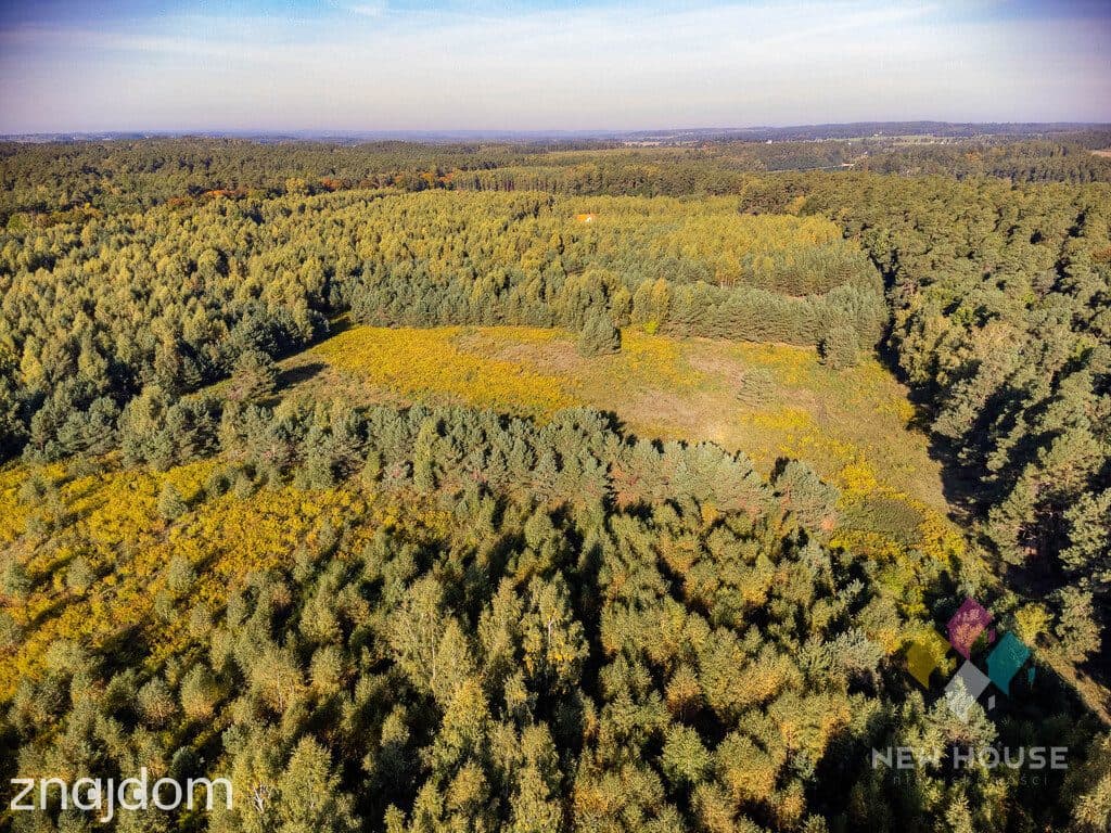 Działka na Mazurach w gminie Grunwald w otoczeniu lasów i jezior - zdjęcie 7