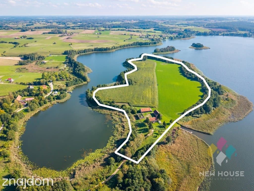 Niepowtarzalne siedlisko na półwyspie jez. Gawlik - zdjęcie 2