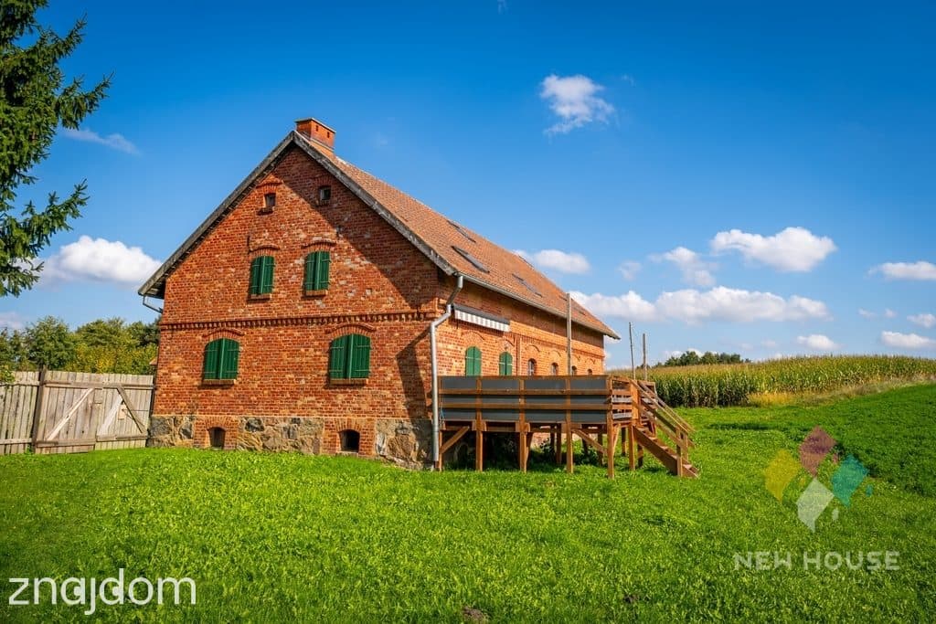 Niepowtarzalne siedlisko na półwyspie jez. Gawlik - zdjęcie 4