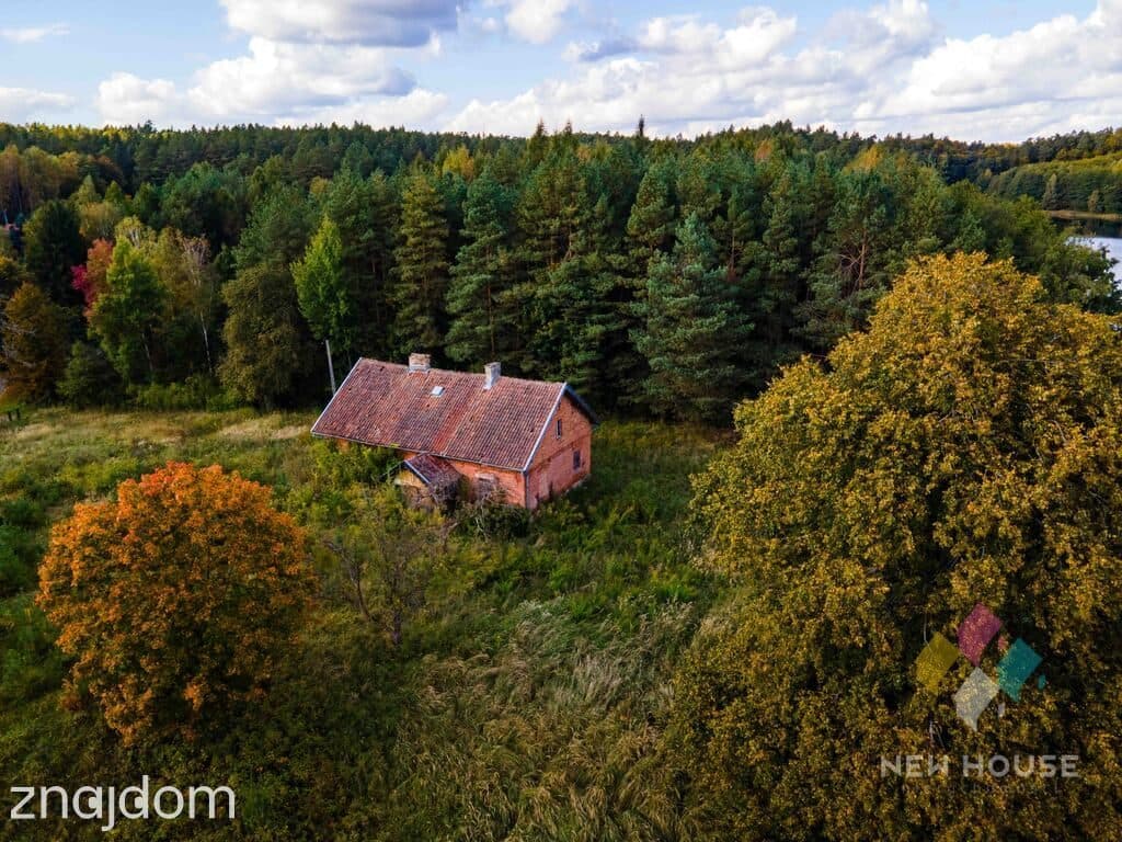 Dłużki, siedlisko nad jez. Dłużek - zdjęcie 14