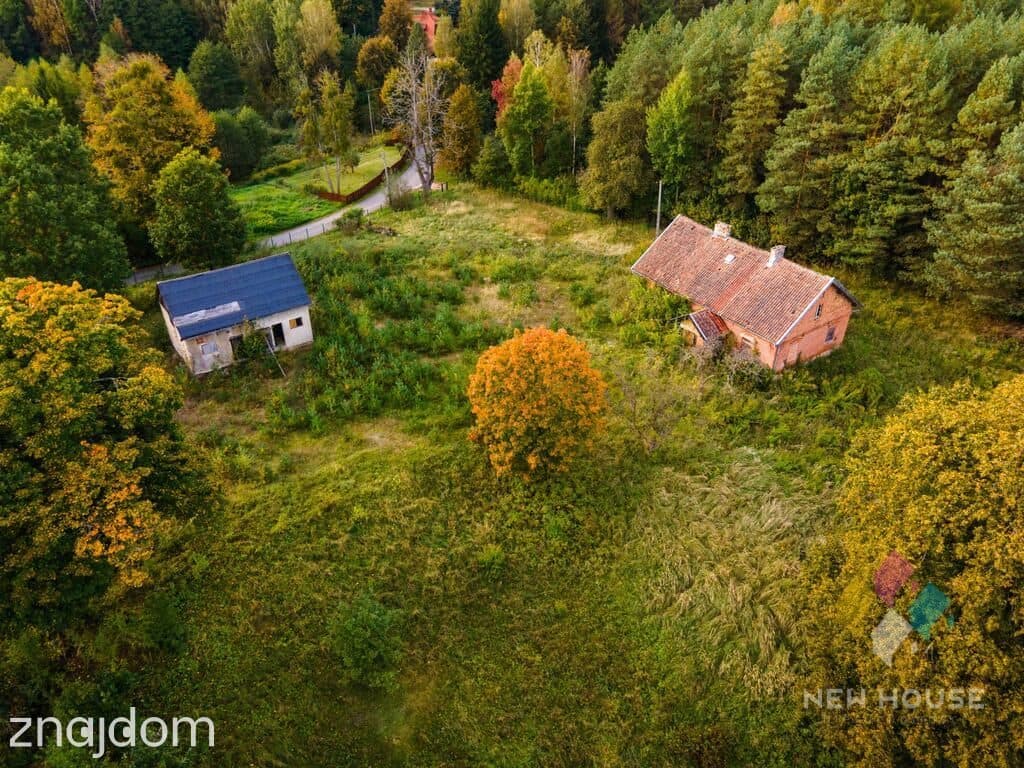 Dłużki, siedlisko nad jez. Dłużek - zdjęcie 15