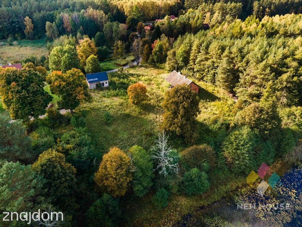 Dłużki, siedlisko nad jez. Dłużek - zdjęcie 7